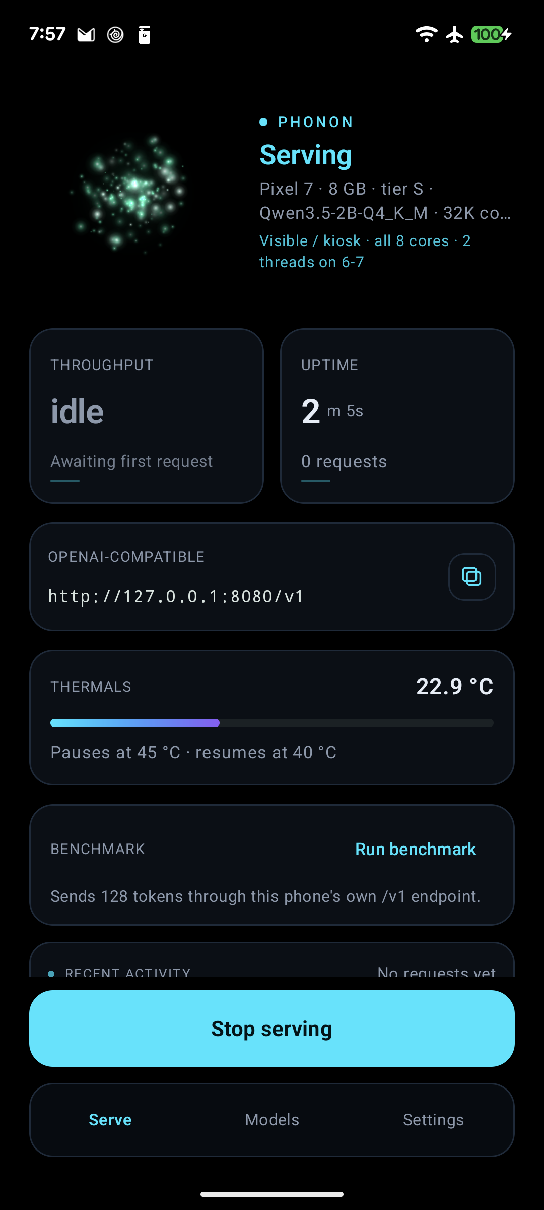 Serve screen: throughput, uptime, endpoint and thermals
